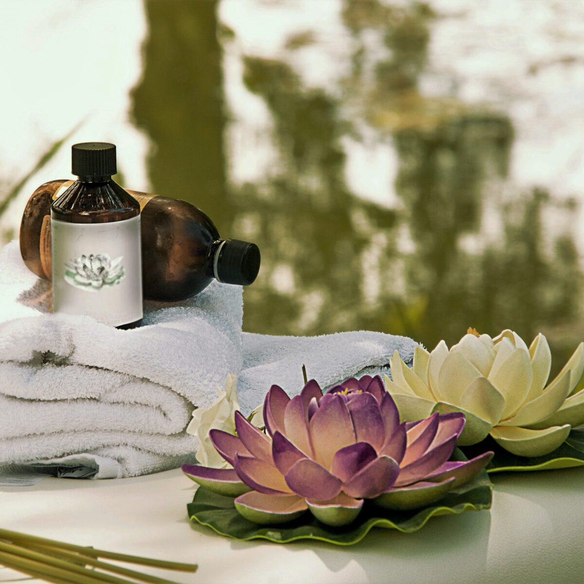 オープンキャンペーンのお知らせ