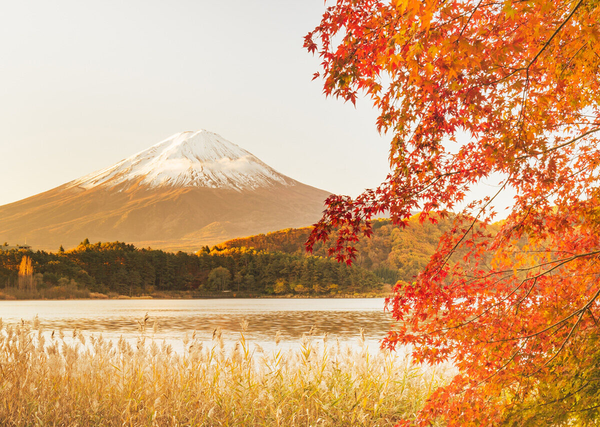 紅葉と◯◯◯◯バスの旅
